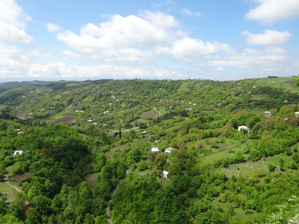 Giorgi'S Homestay Koetaisi Buitenkant foto